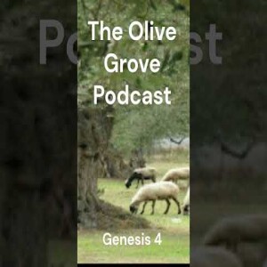 The Olive Grove Podcast: Genesis 4 Discussion