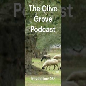 The Olive Grove Podcast Revelation 20 Discussion