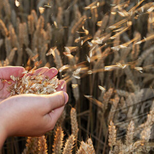 Message 360: ”The Sifting Process”