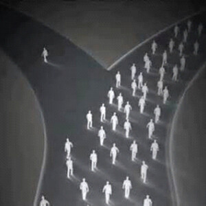 Message 373: ”The Majority Compulsion”