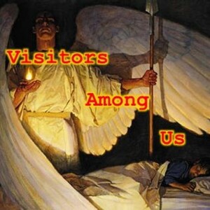 Message 382: ”Visitors Among Us”