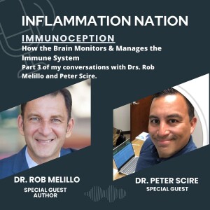 032 - GUEST SERIES: Drs. Melillo and Scire (Part 3): Immunoception - the Brain’s Role in Monitoring and Managing Immunology