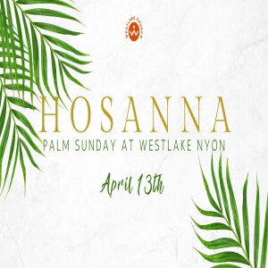 13 April: Palm Sunday: Prophesy. Proclamation. Peace?