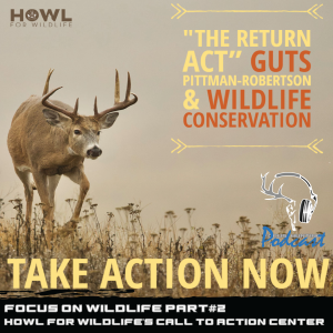 Focus on Wildlife Part 2  - Howl for Wildlife’s Conservation Center