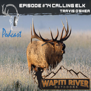 Episode #74 Elk Calling with Travis O’Shea