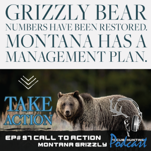 Episode #97 Focus on Wildlife - Montana Grizzly