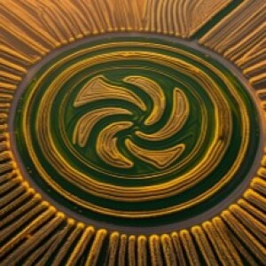 Crop Circles - Hoaxes, Art & Mystery