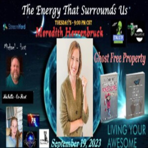 The Energy That Surrounds Us: Episode thirty-six with Meredith Herrenbruck