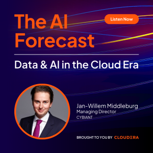 How to Win in the Data Economy with Jan-Willem Middleburg