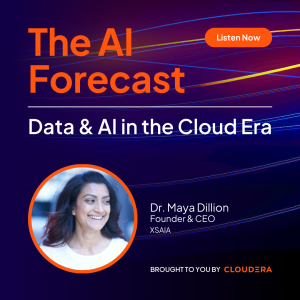 Leading in the Age of AI with Dr. Maya Dillion
