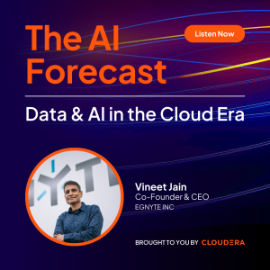 Keeping AI “In” and Risk “Out” with Vineet Jain
