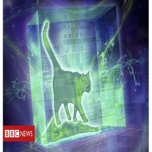 O que aconteceu com o gato filosófico de Schrödinger, a experiência mais famosa da física quântica