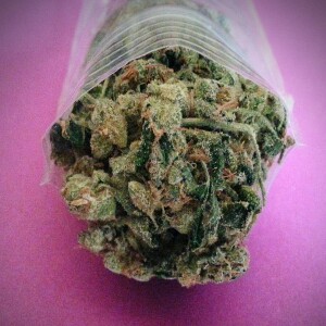 A Maconha Pode Estimular, em vez de Diminuição, o Cérebro dos Idosos