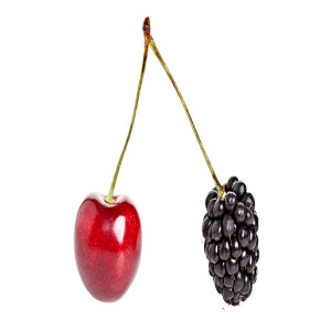 Por que você deve ter (pelo menos) duas carreiras