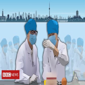 Coronavírus: 5 dias que determinaram o destino da pandemia de covid-19