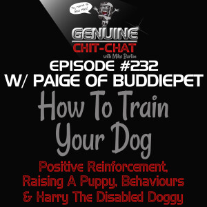 #232 – How To Train Your Dog: Positive Reinforcement, Raising A Puppy, Behaviours & Harry The Disabled Doggy, With Paige Of Buddiepet Pet Care Southampton