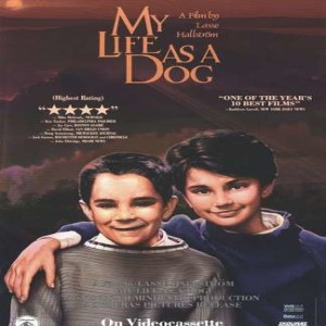 Essential Movies 79 - My Life as a Dog