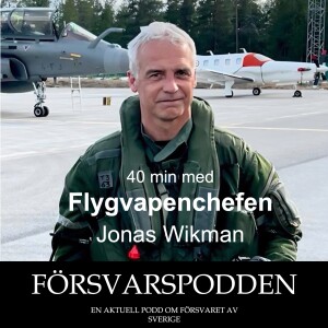 Möte med Flygvapenchefen