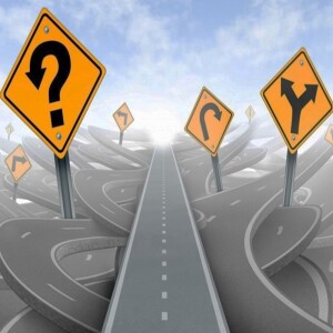 Organizations That Suit Human Being