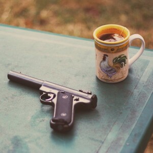 The gun in the first act