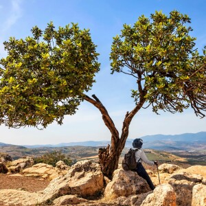 Land of Zebulun and land of Naphtali has seen a great light