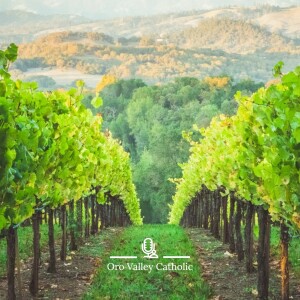 A Vineyard, A Labor Dispute and Envy