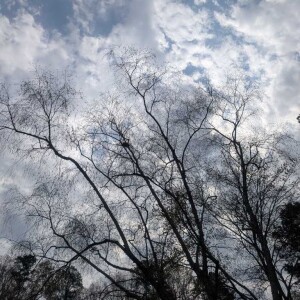 Being Present & overcoming obstacles