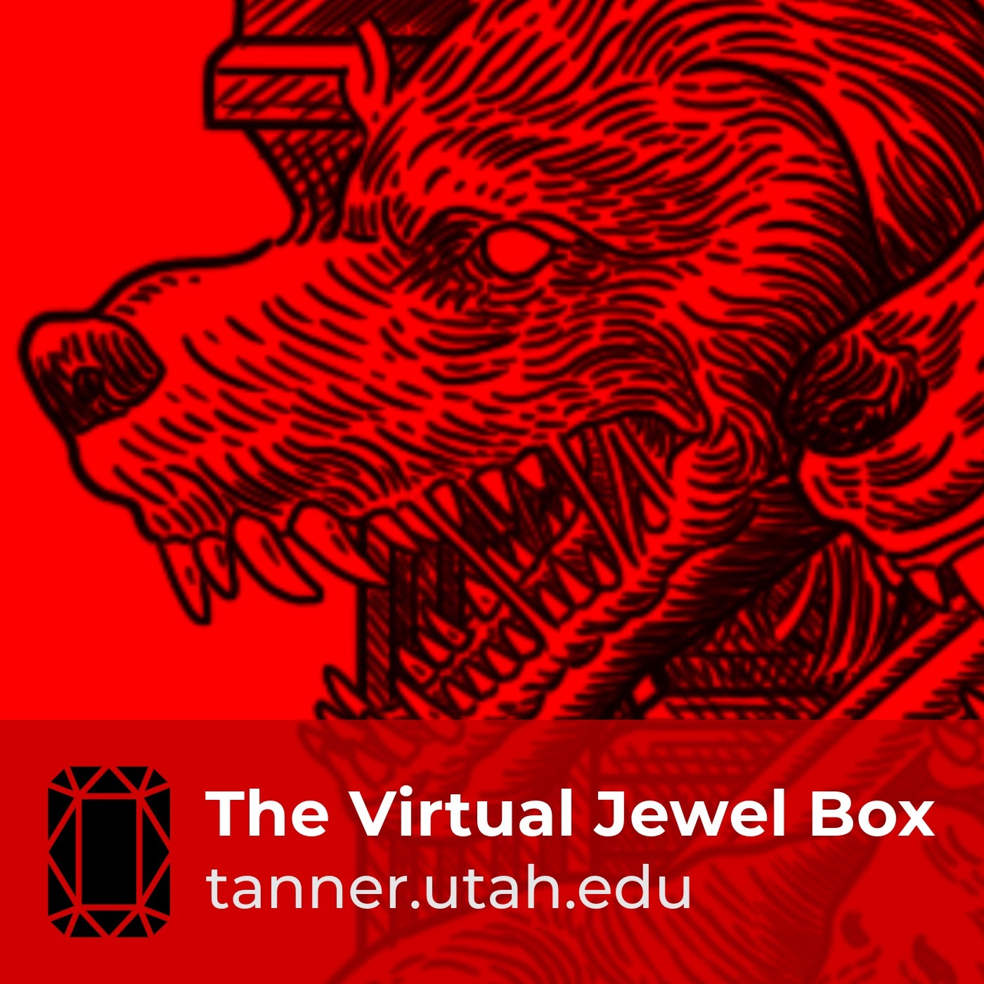 The Virtual Jewel Box