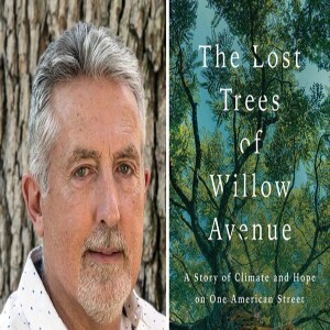 The Oak Trees of Takoma Park
