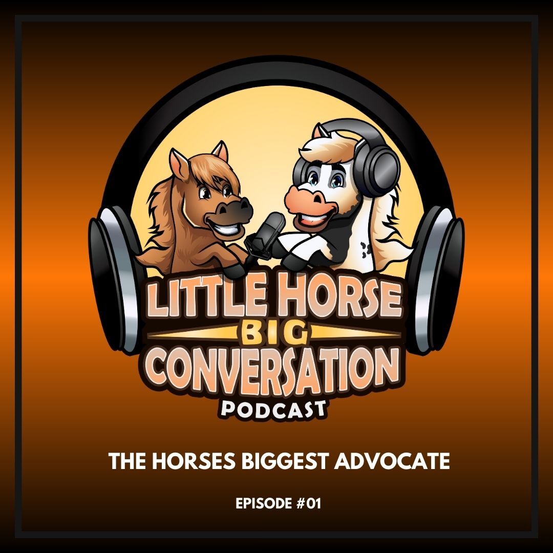 The Little Horse Big Conversation Podcast