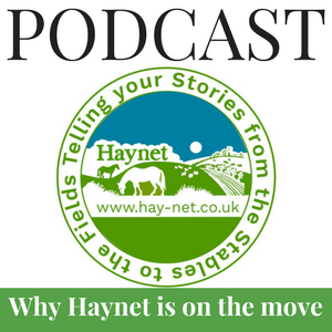 Haynet Is On The Move