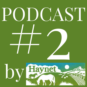 Haynet Podcast #2 What Is The Best Platform To Start Blogging?