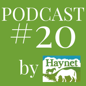 Haynet Podcast #20 How To Make Your Tack Shop Stand Out To Online Competition