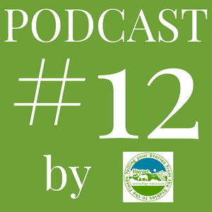 Haynet Podcast #12 - How To Stay Motivated To Keep Blogging