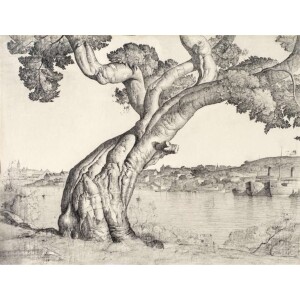 Gospel of 23 March 2025 - A man had a fig tree planted in his vineyard