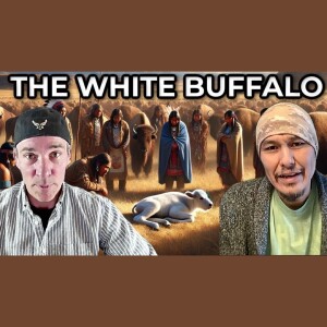Birth of Rare White Buffalo Fulfills Lakota Prophecy & Secret Navajo Teachings, Shondale Lee