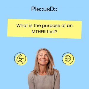 What is the purpose of an MTHFR test?