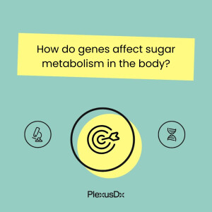 How do genes affect sugar metabolism in the body?