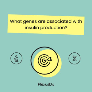 What genes are associated with insulin production?