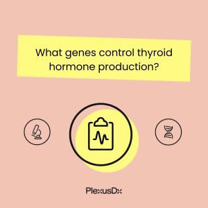 What genes control thyroid hormone production?