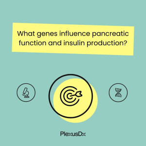 What genes influence pancreatic function and insulin production?