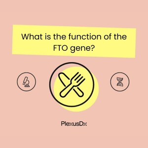 What is the function of the FTO gene?