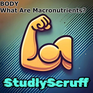 BODY - What Are Macronutrients