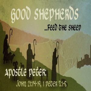 GOOD SHEPHERDS - Feed Their Sheep