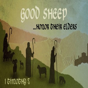 GOOD SHEEP - Honor Their Elders