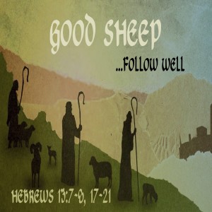 GOOD SHEEP - Follow Well