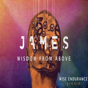 JAMES - Wise Endurance