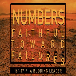 NUMBERS - A Budding Leader