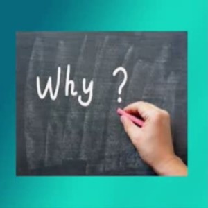 RYAN BERGES - Why Are You Here?