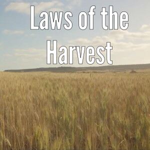 Harvest